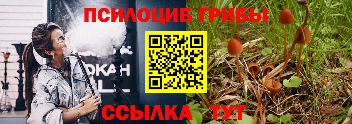 Галлюциногенные грибы ЛСД Бийск