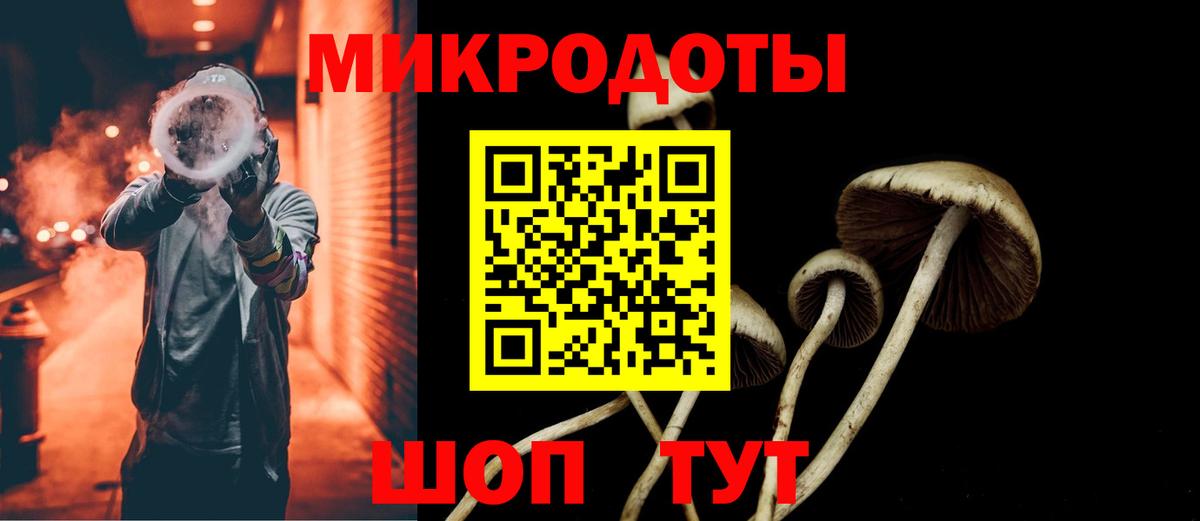 купить   Галлюциногенные грибы Psilocybine cubensis  Вход с VPN  Бийск 